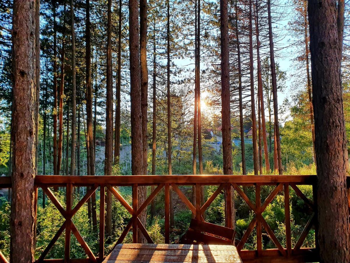 White Bear Apartment