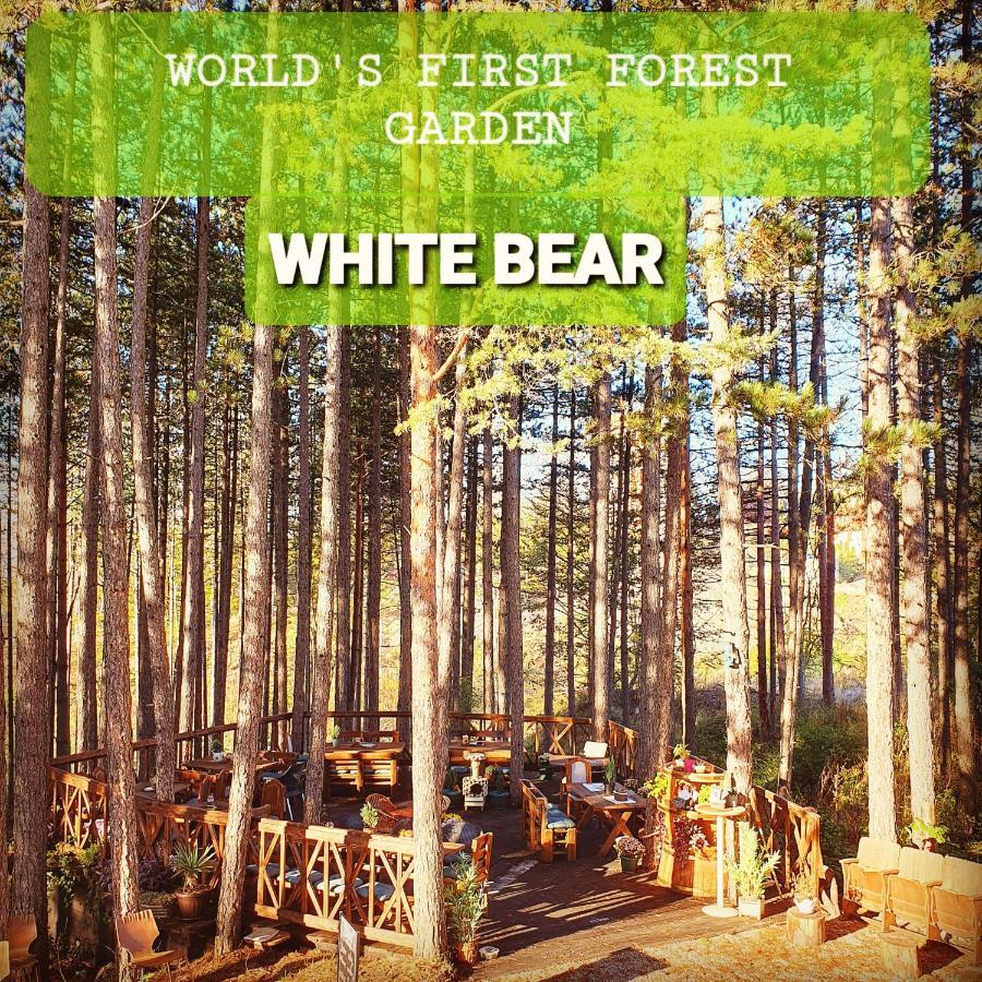 Apartment White Bear Zlatibor